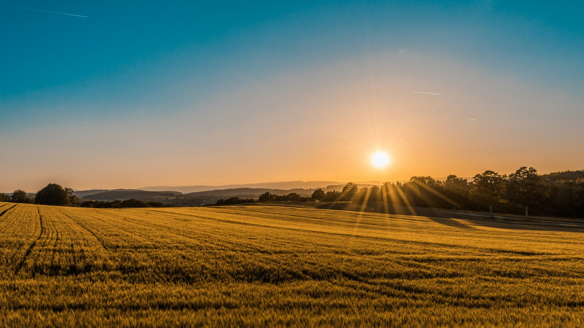 Saskatchewan prairie at golden hour